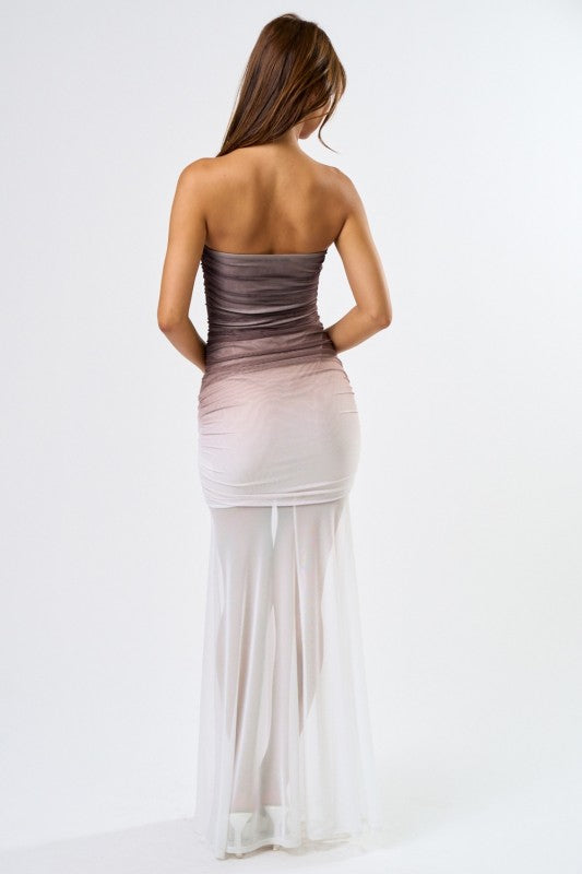 Amara Ombre Mesh Maxi Dress